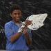 Star Wars Force Link 2.0 Millennium Falcon with Escape Craft   567683458